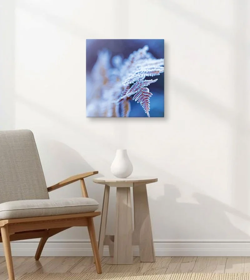 Winter Fern Canvas Wall Art — Nature Print
