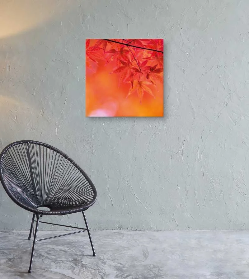 Autumn Maple Canvas Wall Art — Nature Print