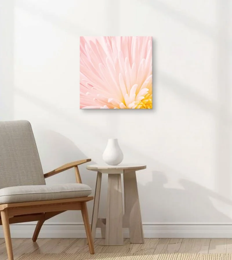 Spring Daisy Canvas Wall Art — Nature Print