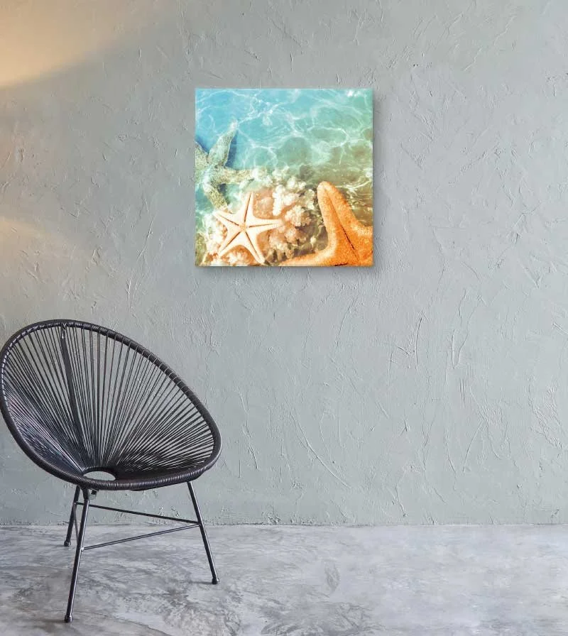 Summer Starfish Canvas Wall Art — Nature Print