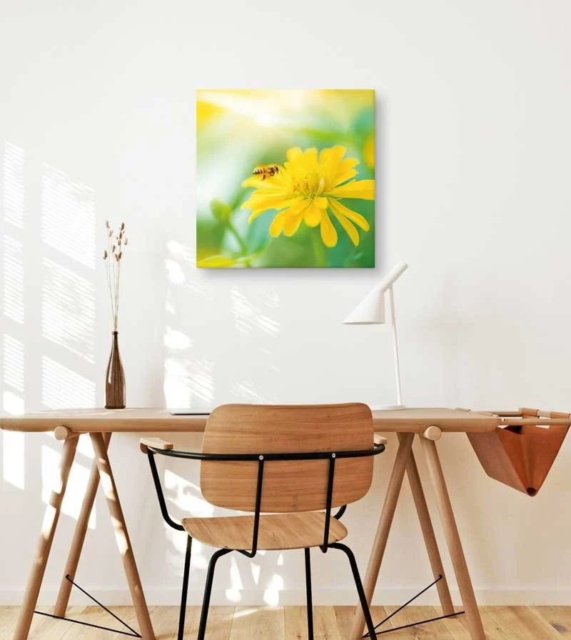 Spring Bee Canvas Wall Art — Nature Print