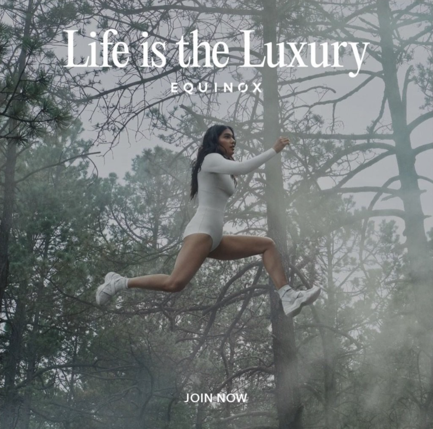 Screenshot 2024-07-27 at 4.09.34 PM.png