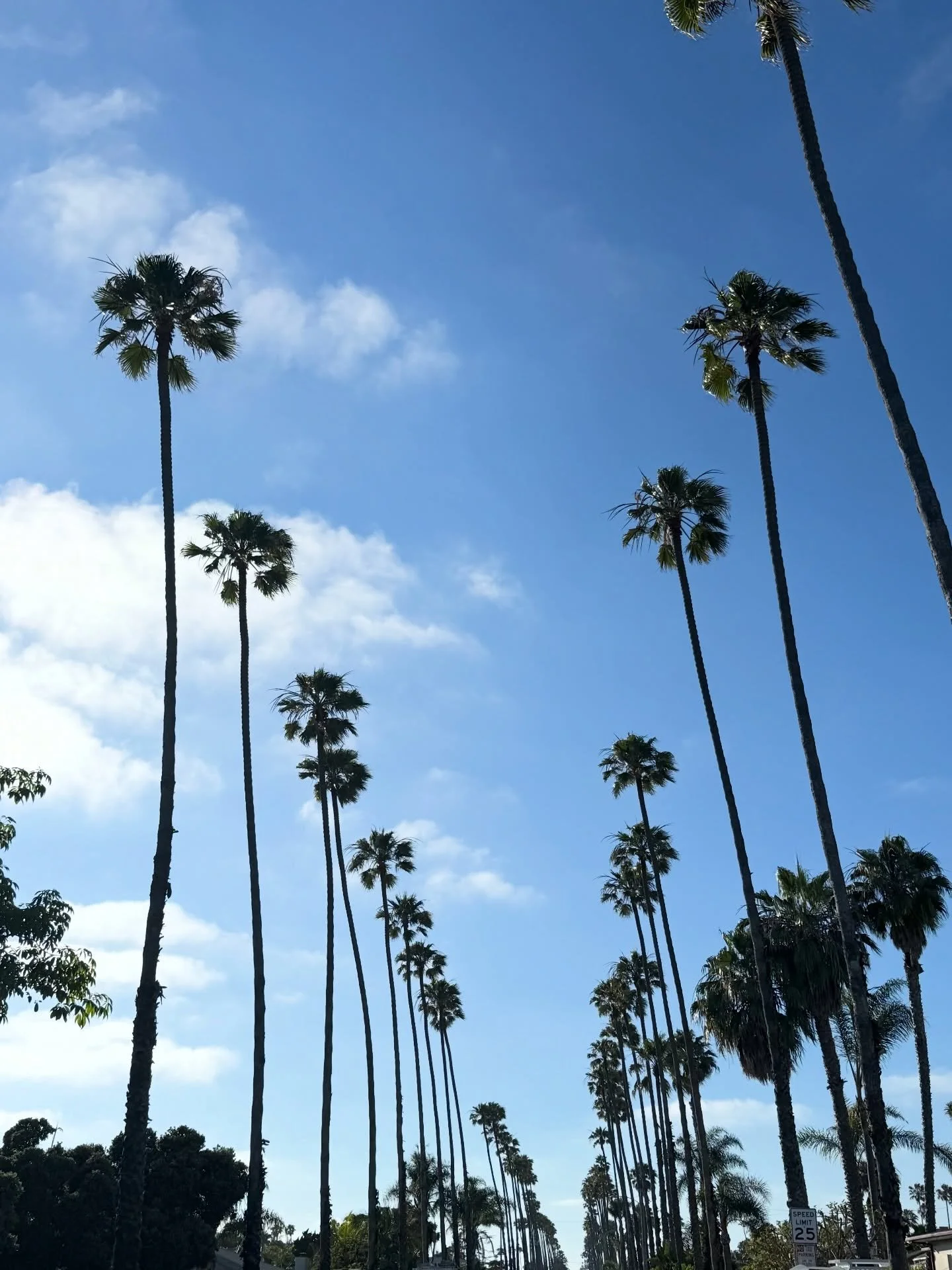 Your Pilates home in Oceanside 🌴🌊