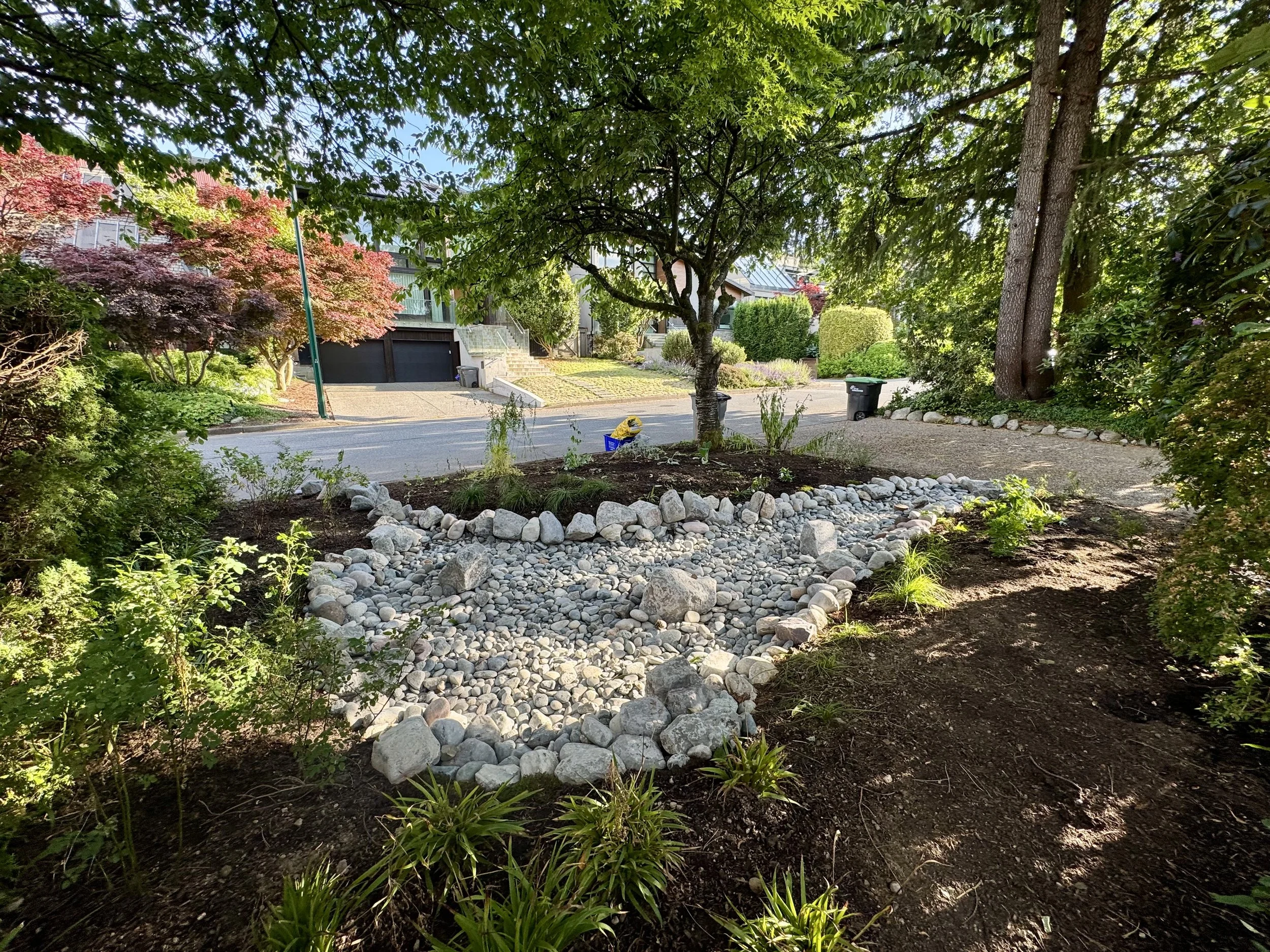 RAIN GARDEN IN POINT GREY