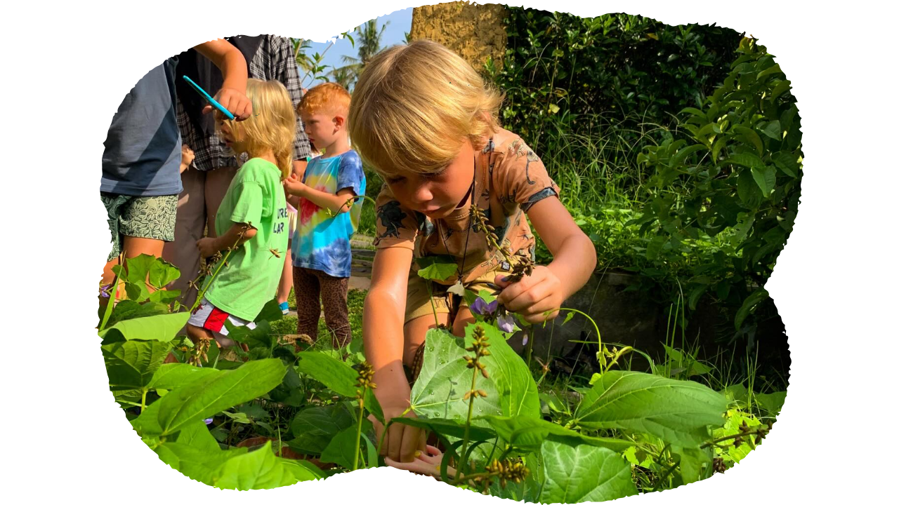 Join us as we head to Bali, Indonesia this July!