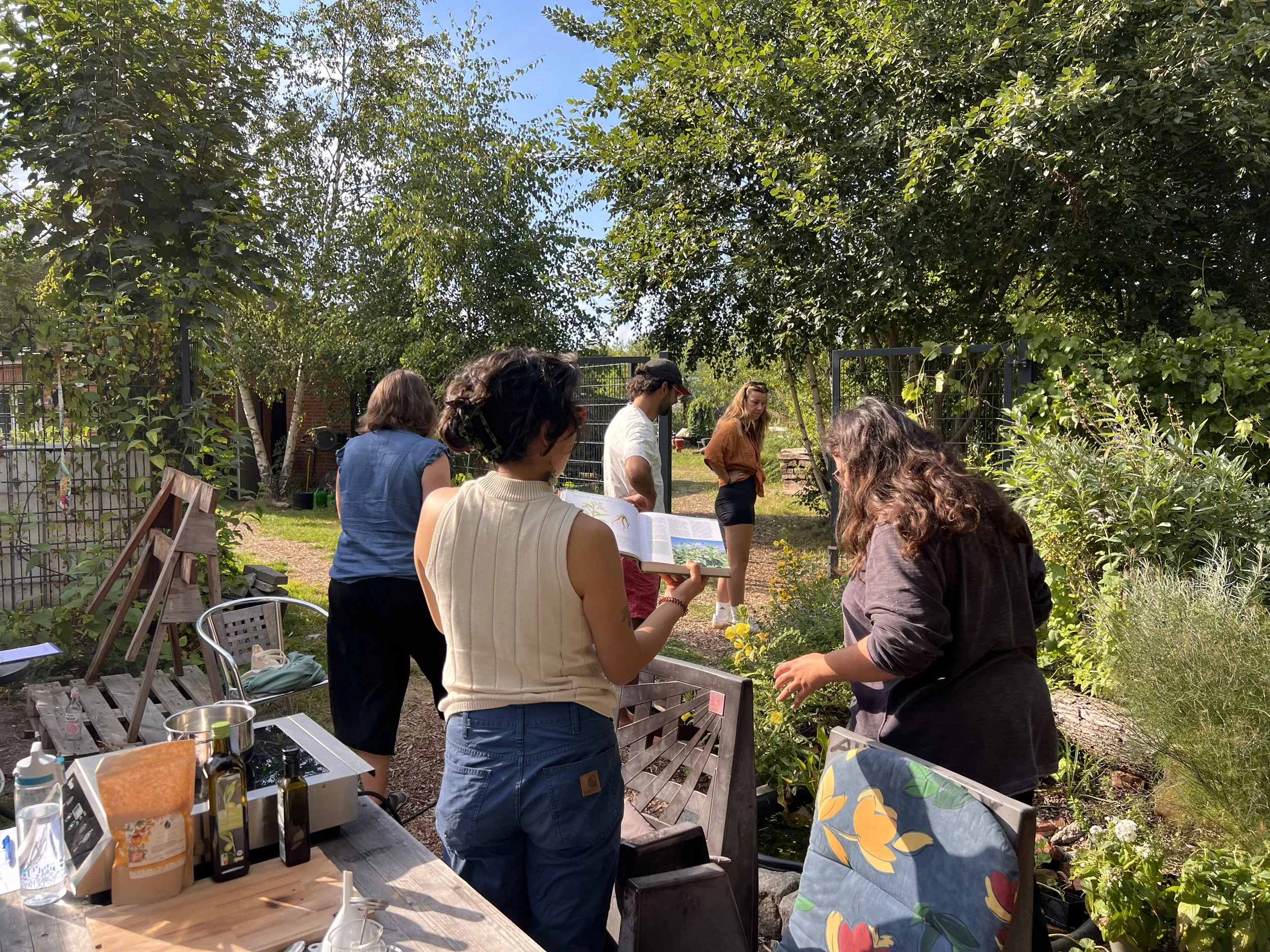 Beinwellbalsam Workshop