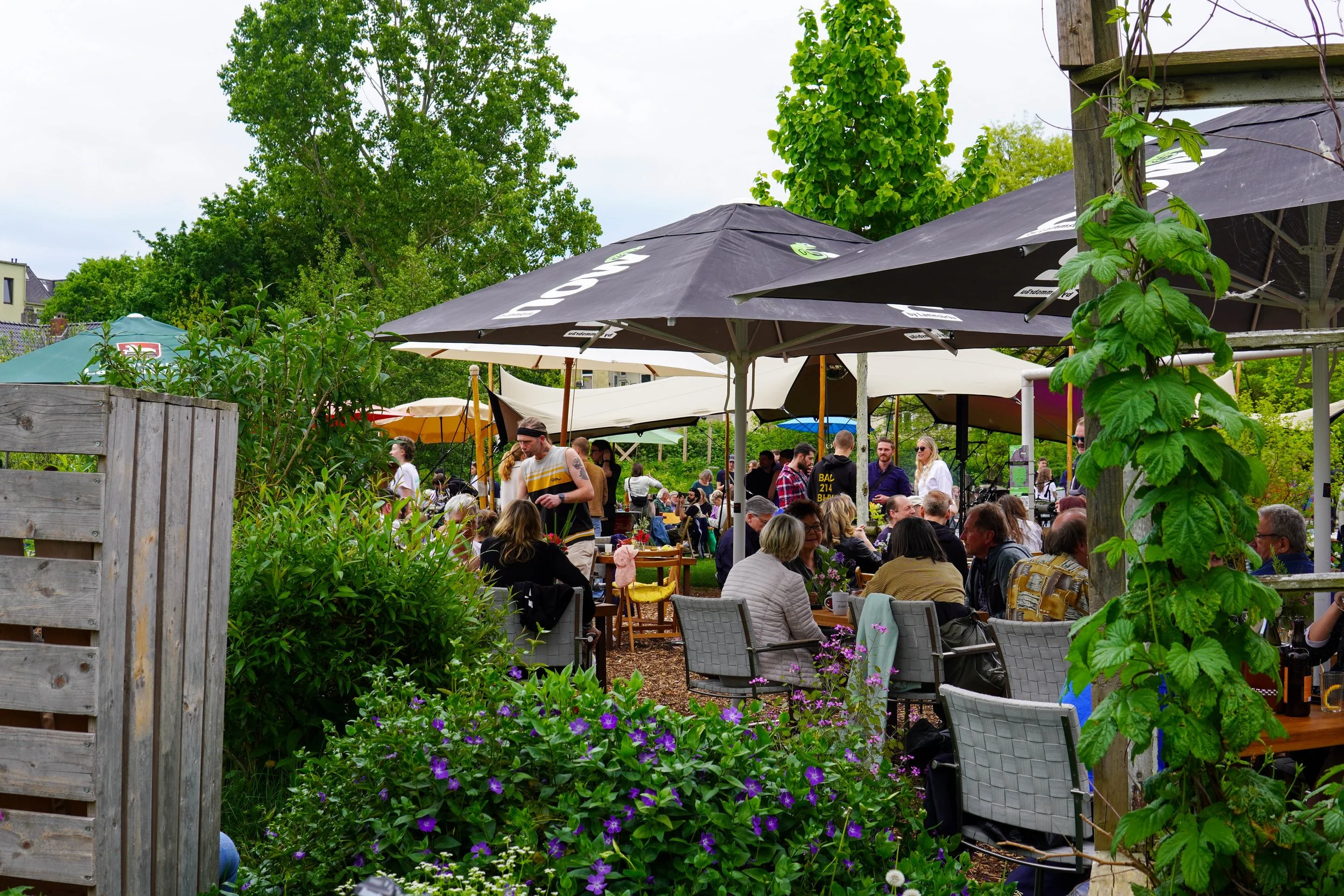 Tag der Offenen Gesellschaft