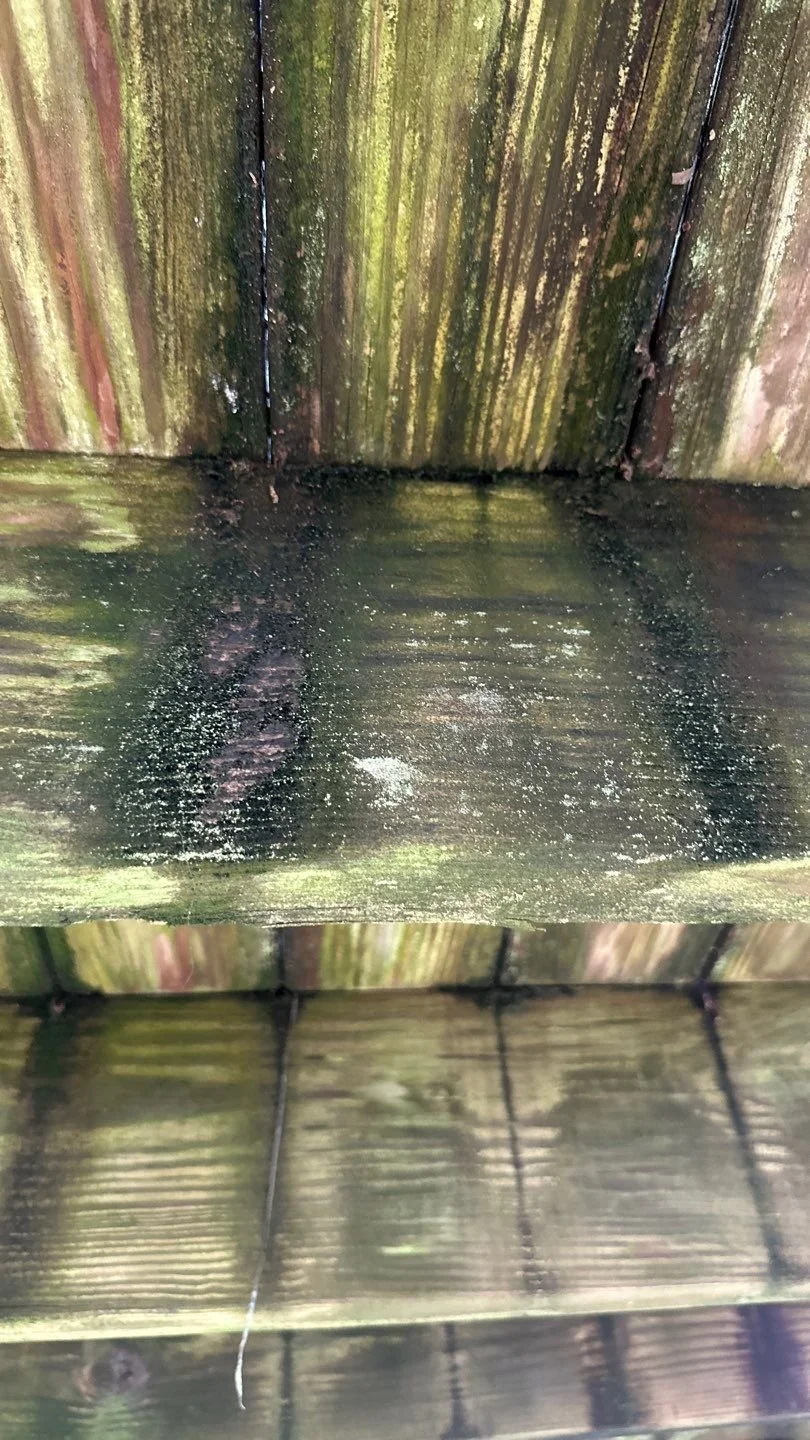 Molds due to moisture in a Nashville deck