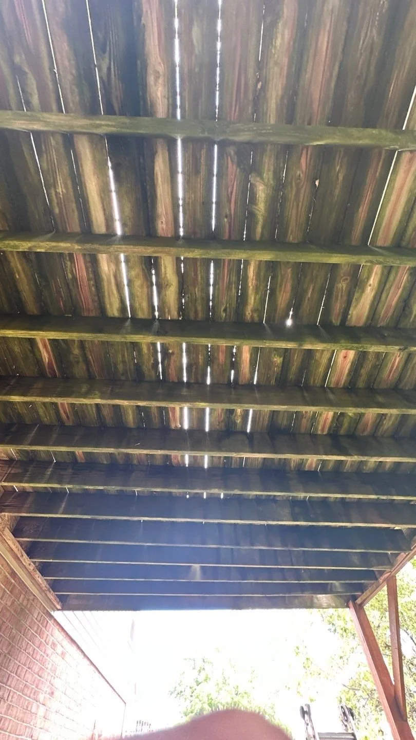 Mold, Mildew, and Algae Prevention on Decks