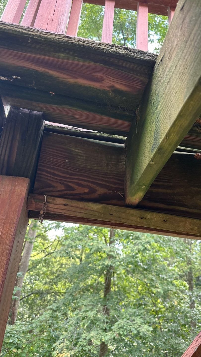 Mold and mildew start to develop under this pressure