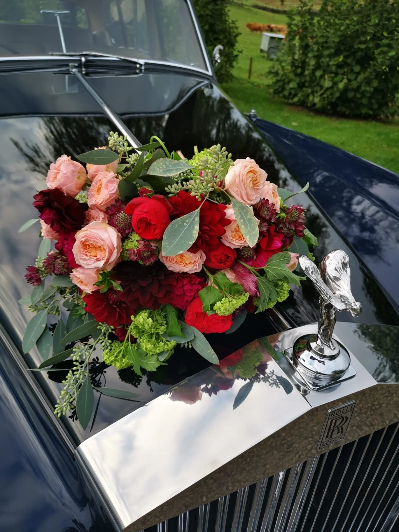 WhatsApp Image 2025-10-12 at 18.41.25.jpeg