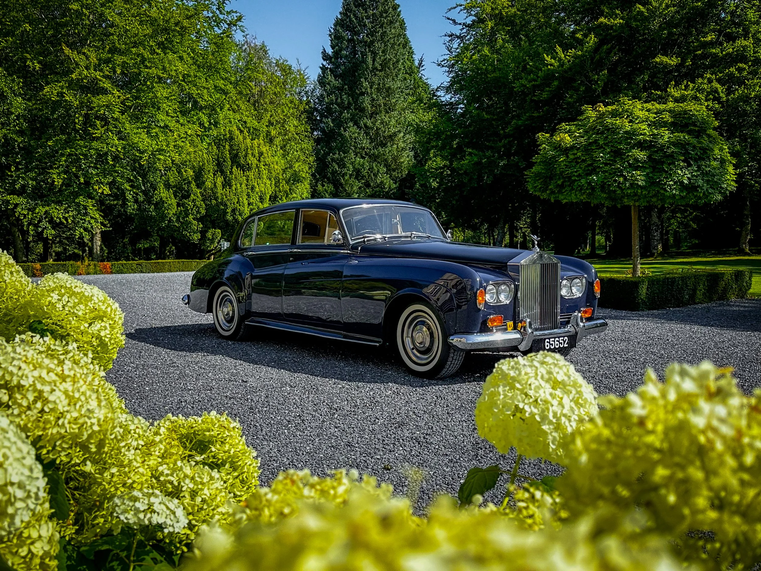 Une voiture classique noire garée sur une allée en gravier, entourée de buissons jaunes et d'arbres verts, dans un parc ensoleillé.