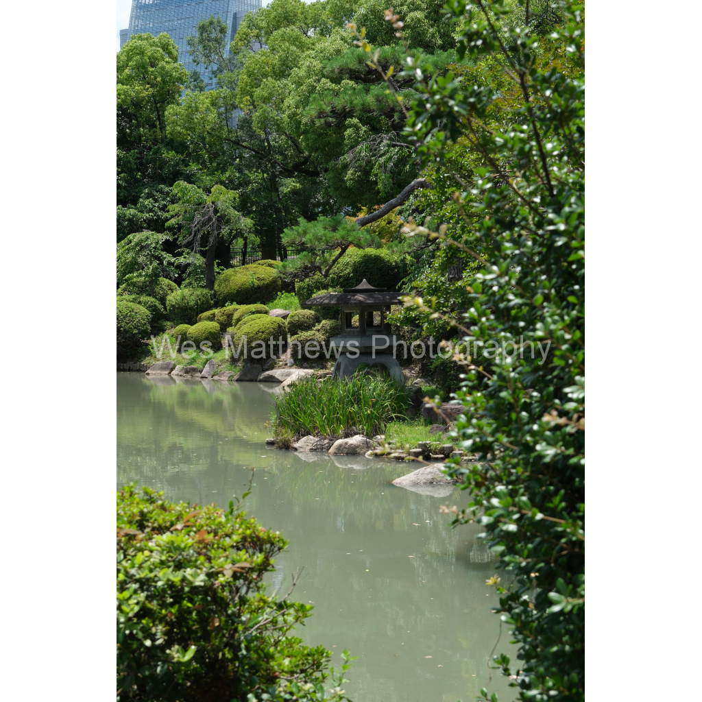 image_original_c58309bc82553a8494af3ae206c648a1.png