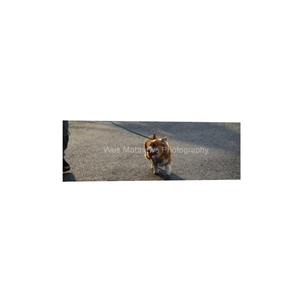 ptq_1_2_0_864_5184_1728_0_false_ffffff_0_0_c58309bc82553a8494af3ae206c648a1.png