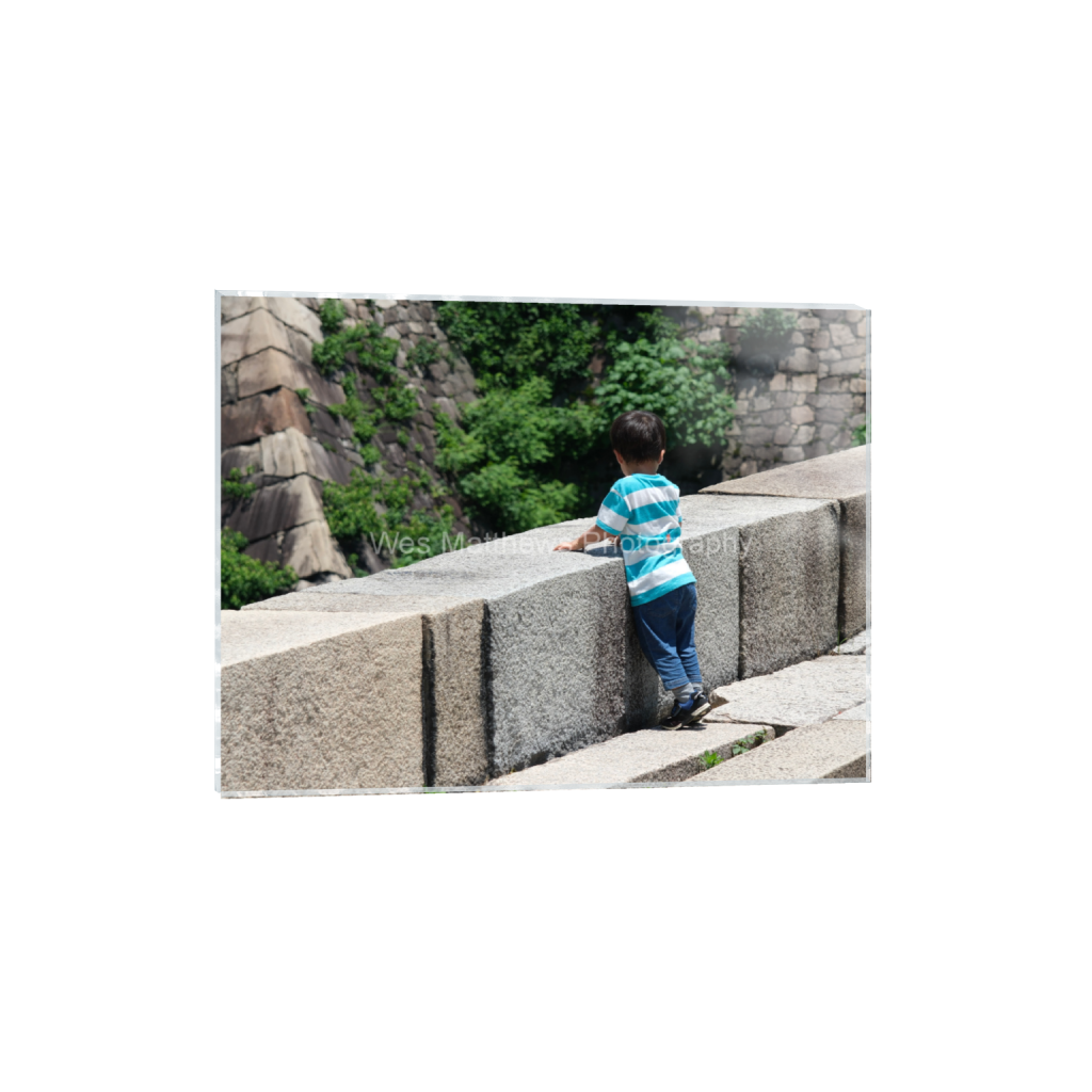 ptq_17_5_333_0_5333_4000_0_false_ffffff_0_0_c58309bc82553a8494af3ae206c648a1.png