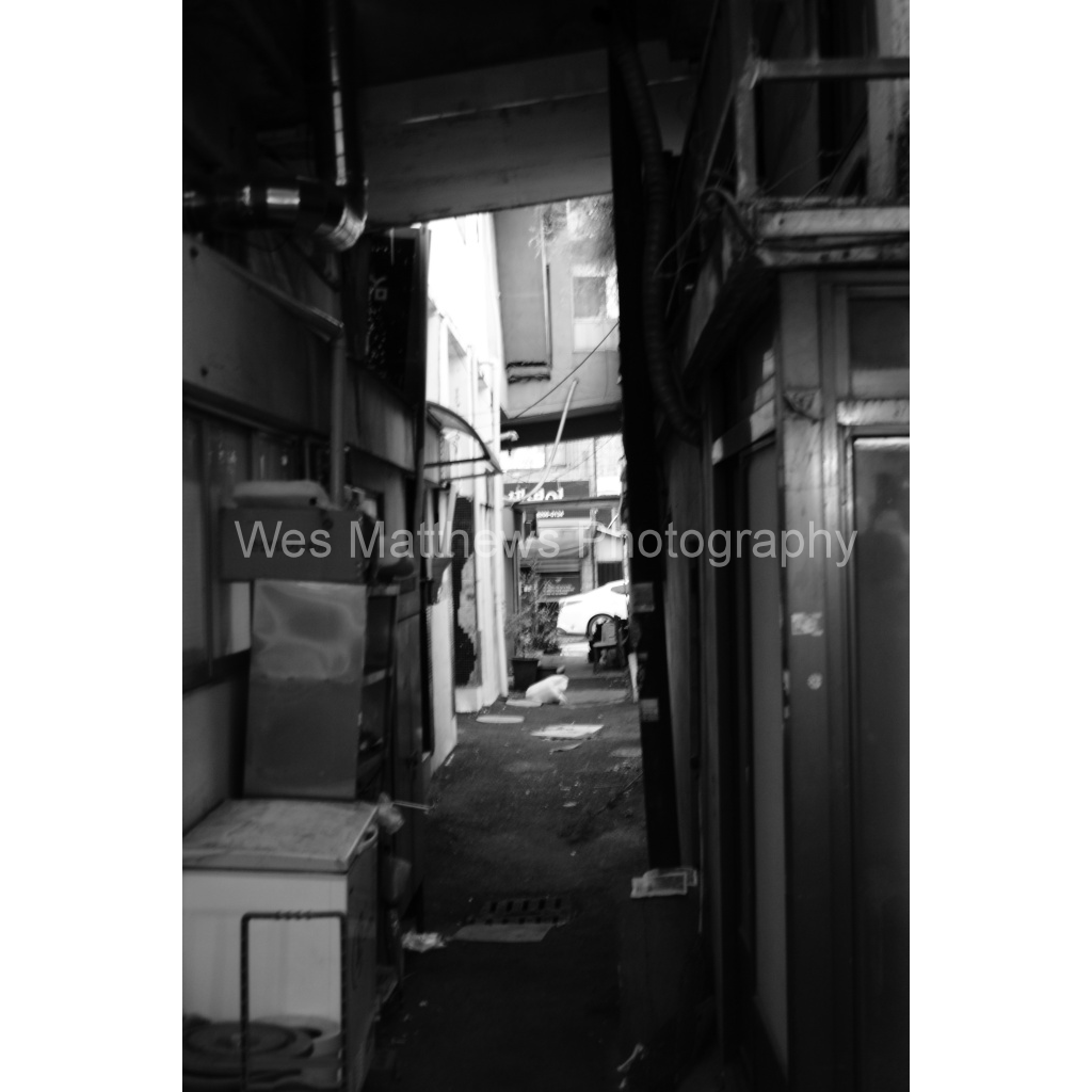 image_original_c58309bc82553a8494af3ae206c648a1.png