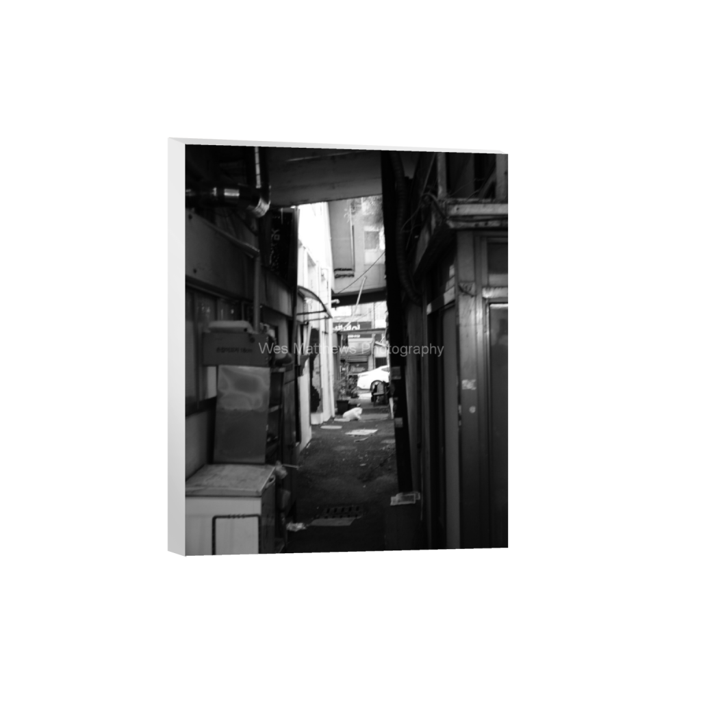 ptq_7_6_0_385_3056_3820_0_false_ffffff_0_0_c58309bc82553a8494af3ae206c648a1.png