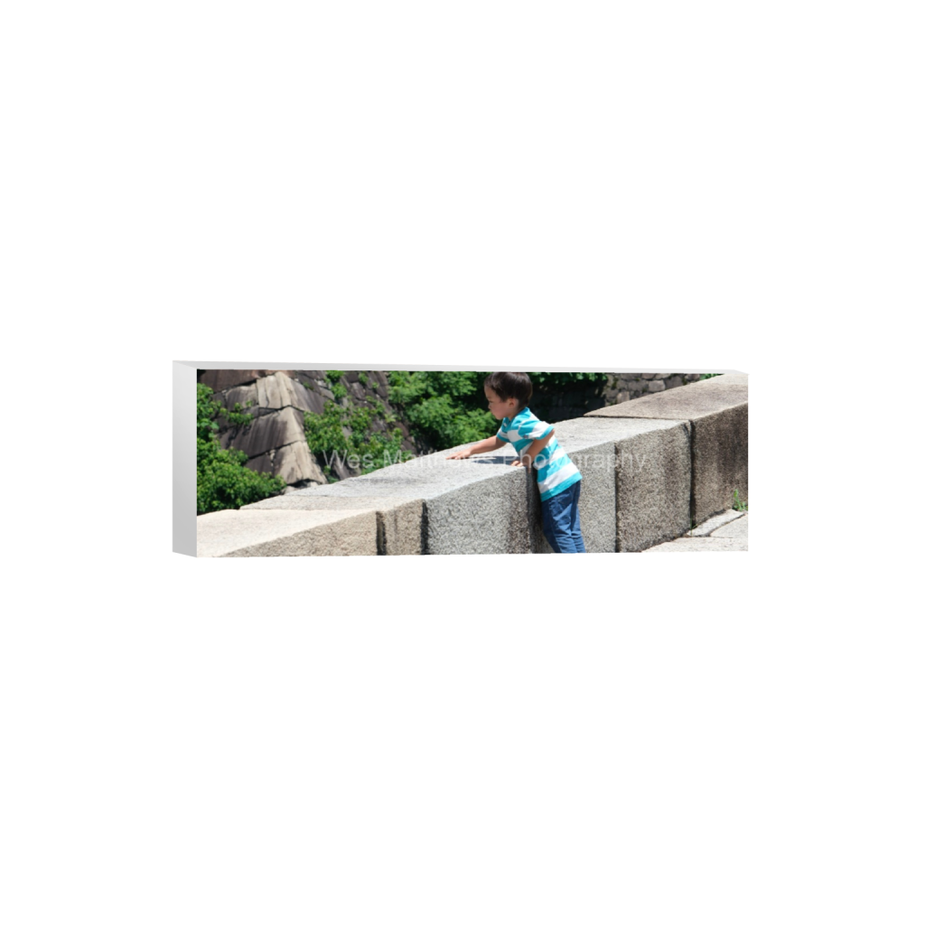 ptq_7_2_0_1000_6000_2000_0_false_ffffff_0_0_c58309bc82553a8494af3ae206c648a1.png