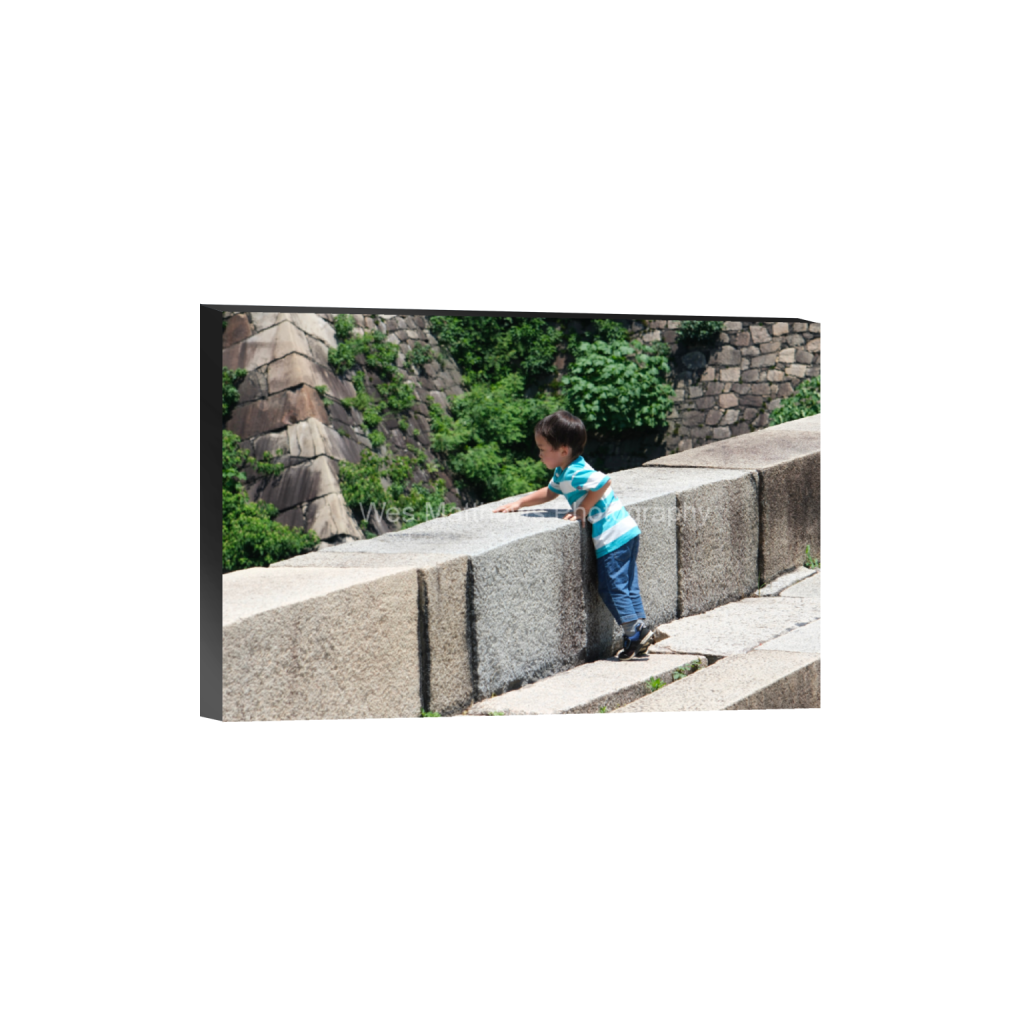 ptq_32_3_0_0_6000_4000_0_false_ffffff_0_0_c58309bc82553a8494af3ae206c648a1.png