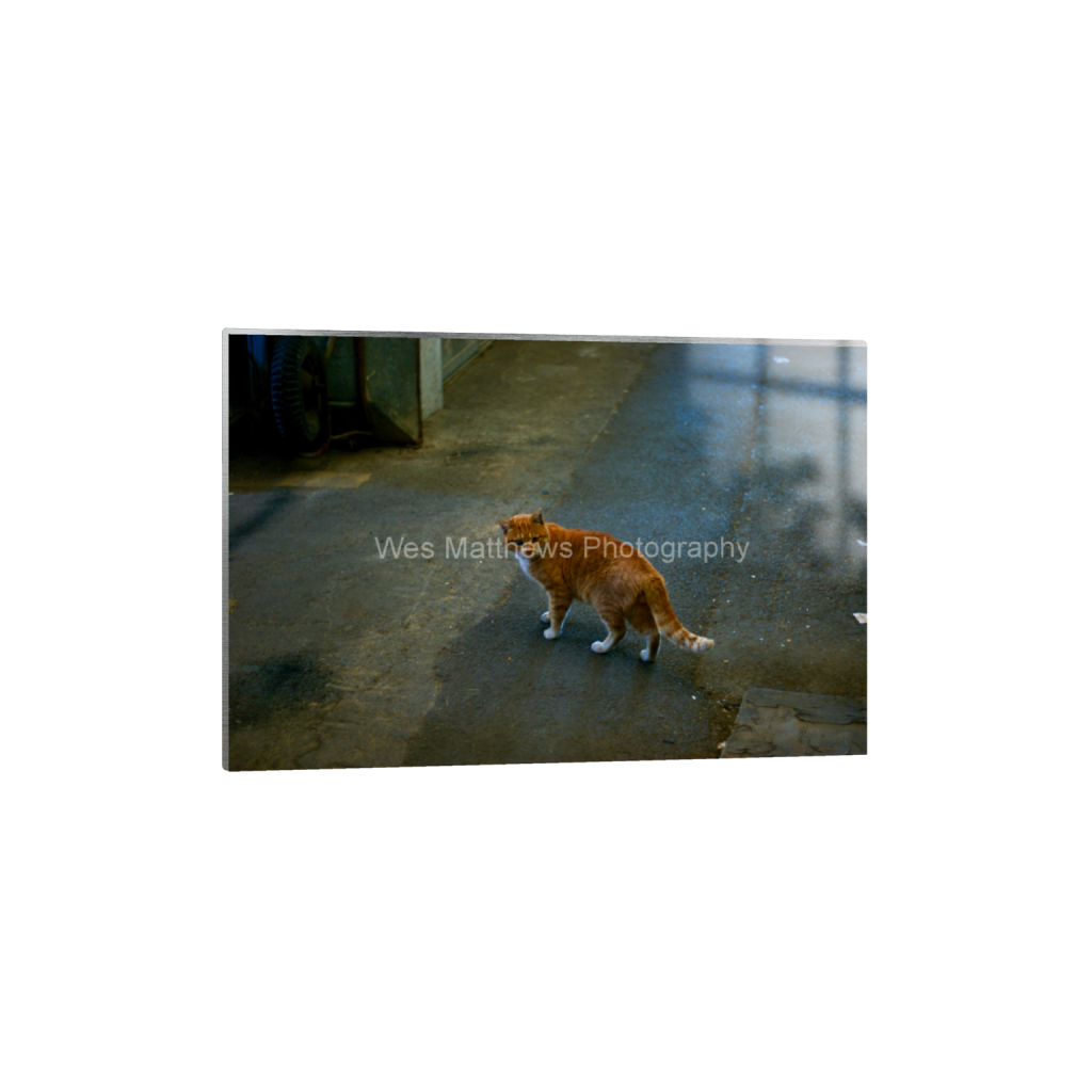ptq_13_3_4_0_4584_3056_0_false_ffffff_0_0_c58309bc82553a8494af3ae206c648a1.png