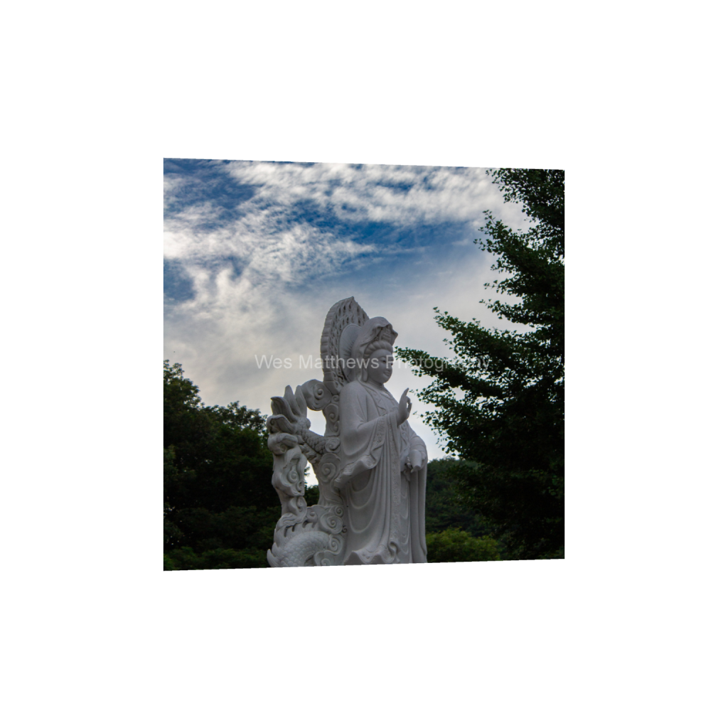 ptq_1_0_0_864_3456_3456_0_false_ffffff_0_0_c58309bc82553a8494af3ae206c648a1.png