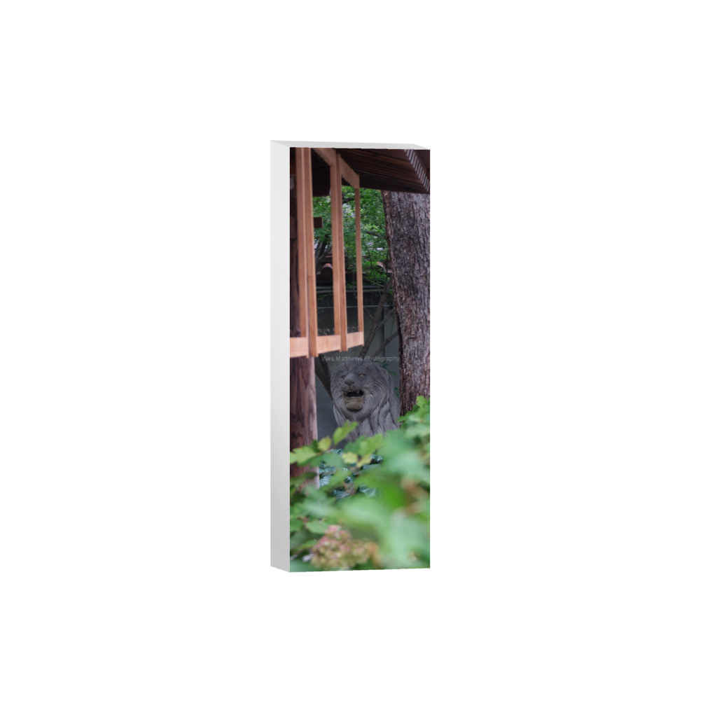 ptq_7_2_1000_0_2000_6000_0_false_ffffff_0_0_c58309bc82553a8494af3ae206c648a1.png