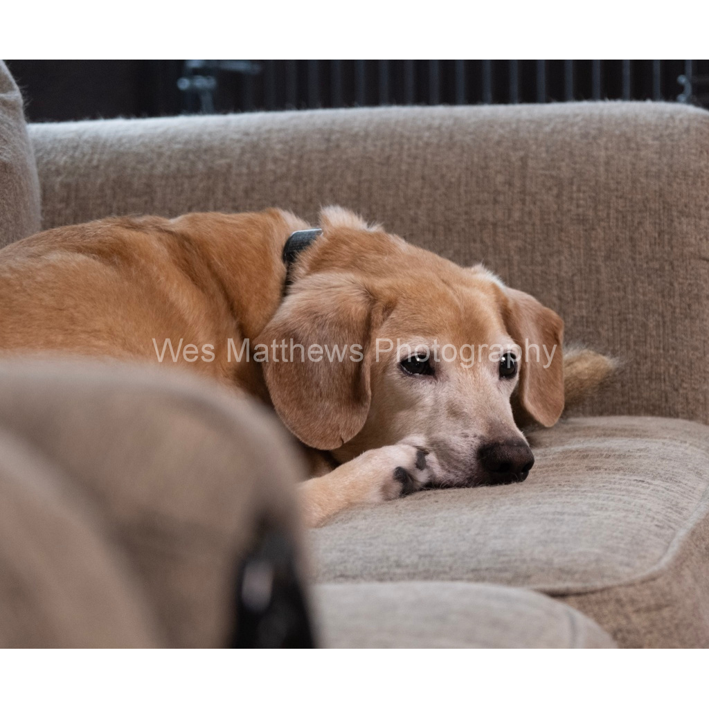 image_original_c58309bc82553a8494af3ae206c648a1.png