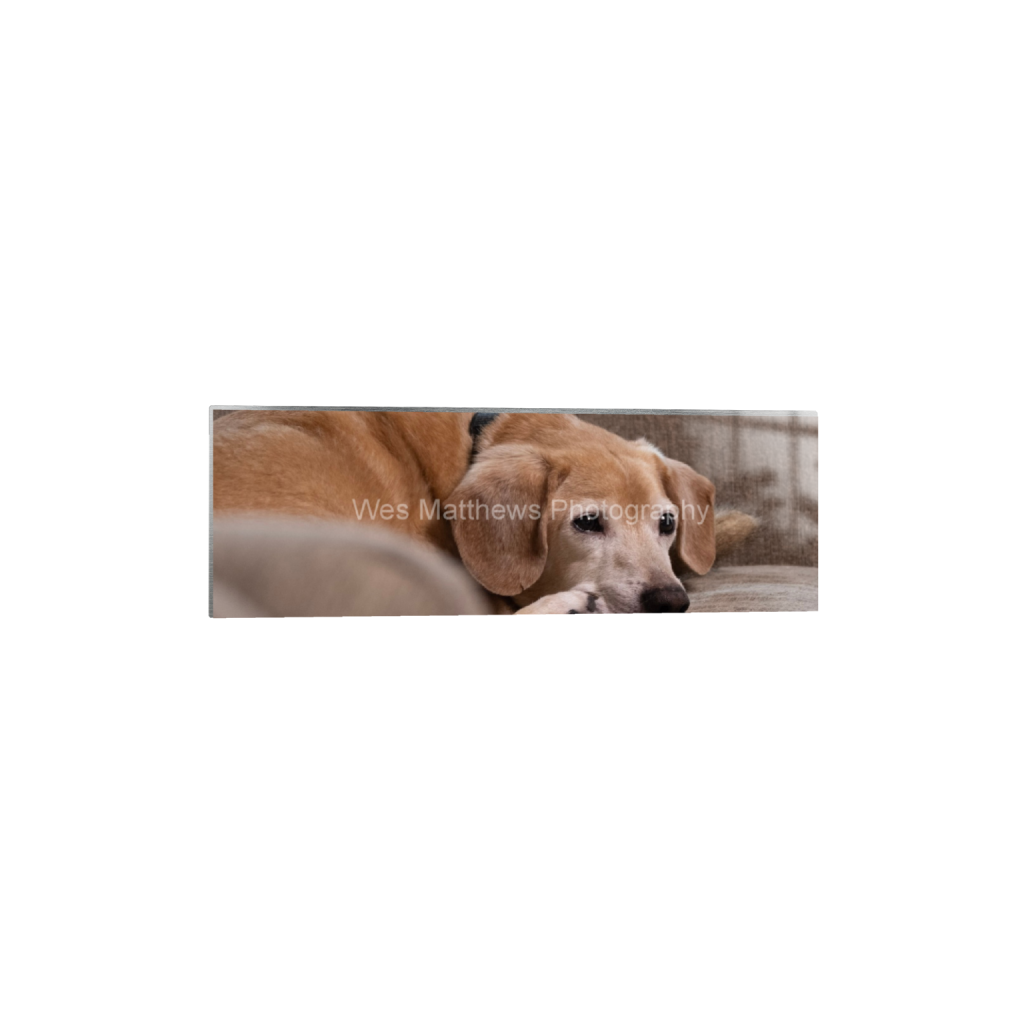 ptq_13_2_0_1379_5550_1850_0_false_ffffff_0_0_c58309bc82553a8494af3ae206c648a1.png
