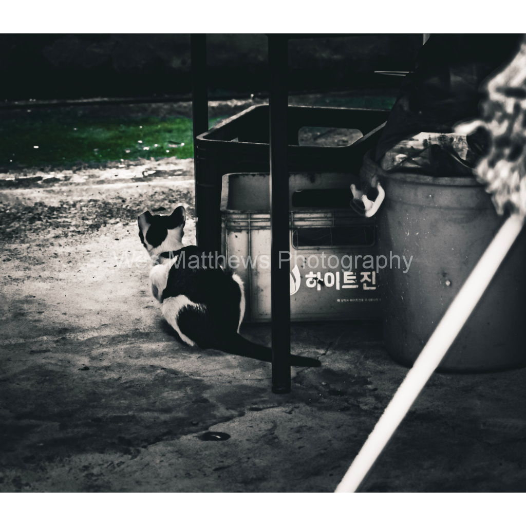 image_original_c58309bc82553a8494af3ae206c648a1.png