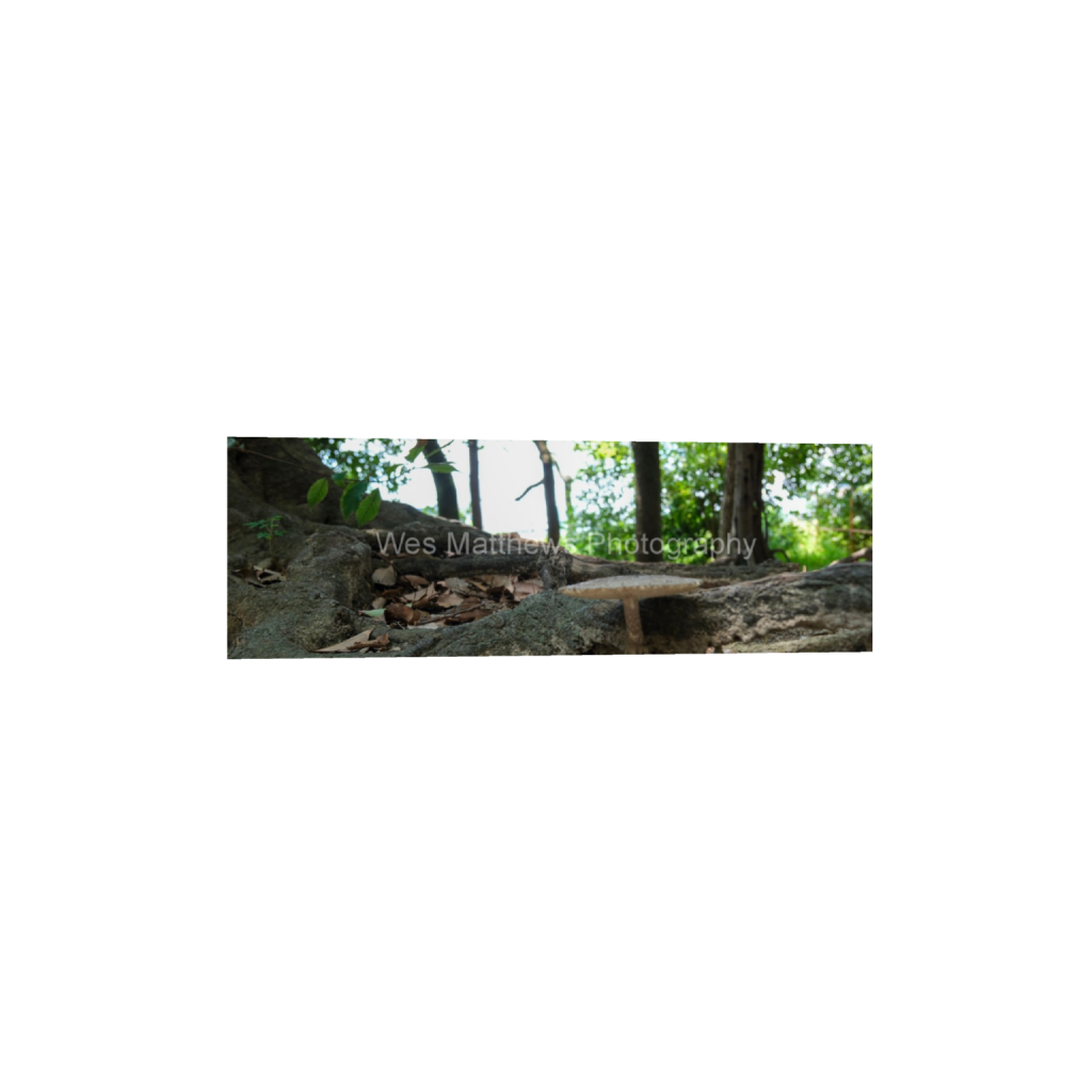 ptq_1_2_0_1000_6000_2000_0_false_ffffff_0_0_c58309bc82553a8494af3ae206c648a1.png