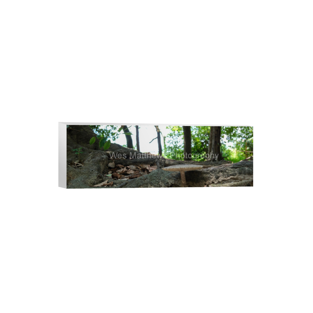 ptq_7_2_0_1000_6000_2000_0_false_ffffff_0_0_c58309bc82553a8494af3ae206c648a1.png