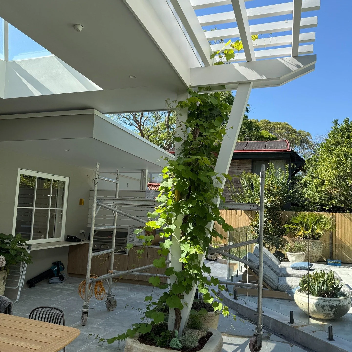 R E S I D E N T I A L

The original vines are back and creeping in nicely.

It won&rsquo;t be long before they&rsquo;re fully woven into the awning design.

The project that keeps growing, love it!

#CradleDesign #ResidentialArchitecture
#AustralianA