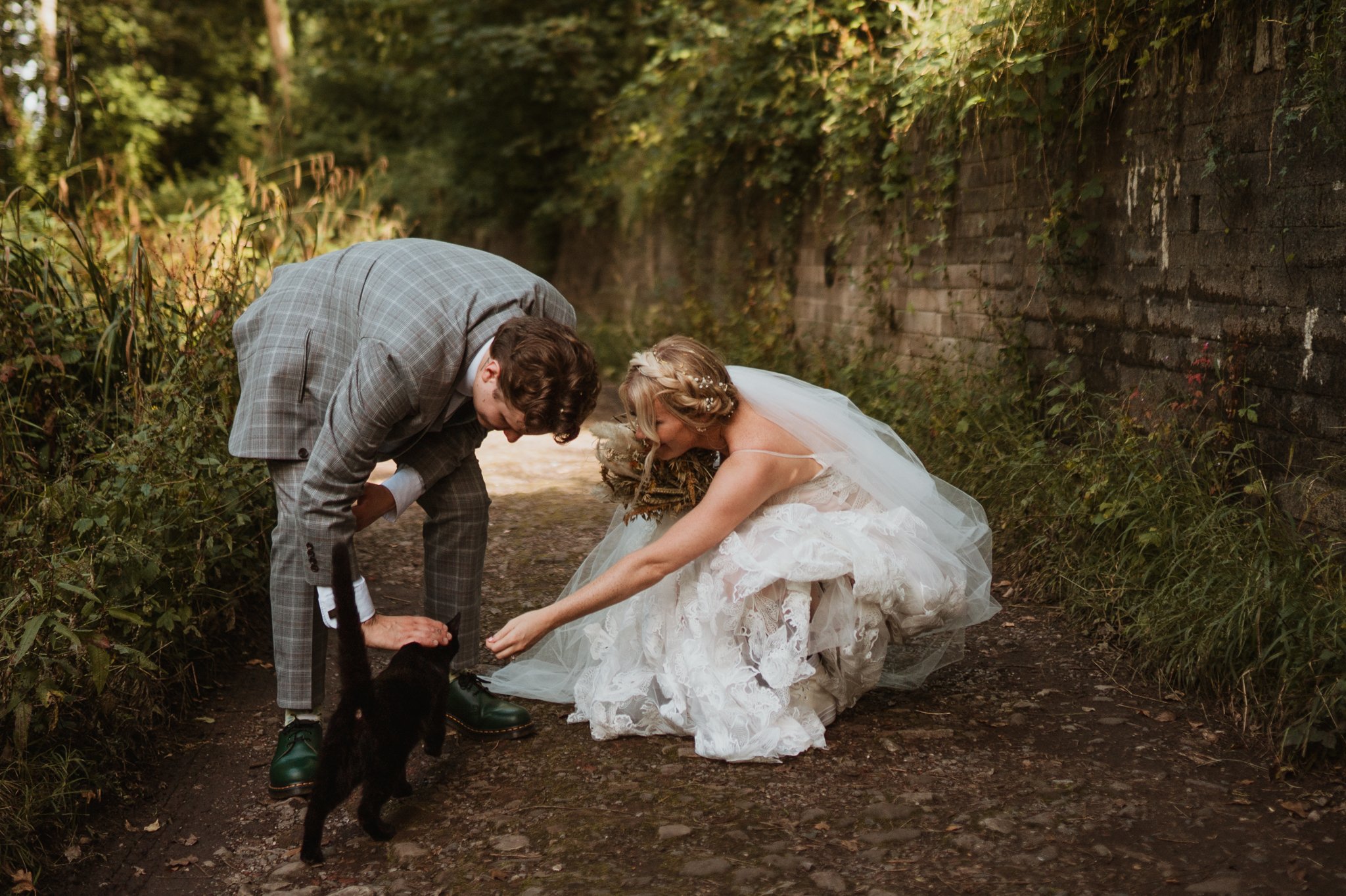 bride and groom stopping to stroke cat at arnos vale