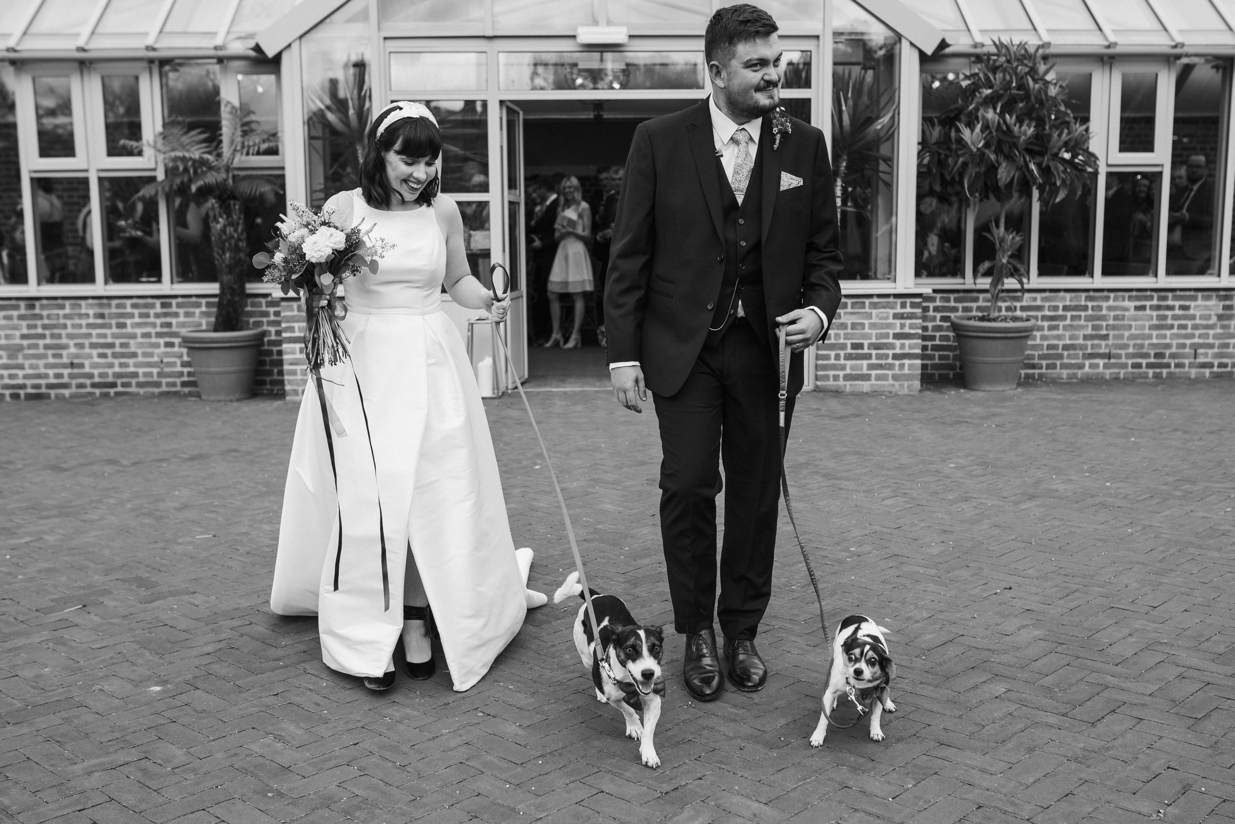 bride and groom with dogs walking out of syrencot