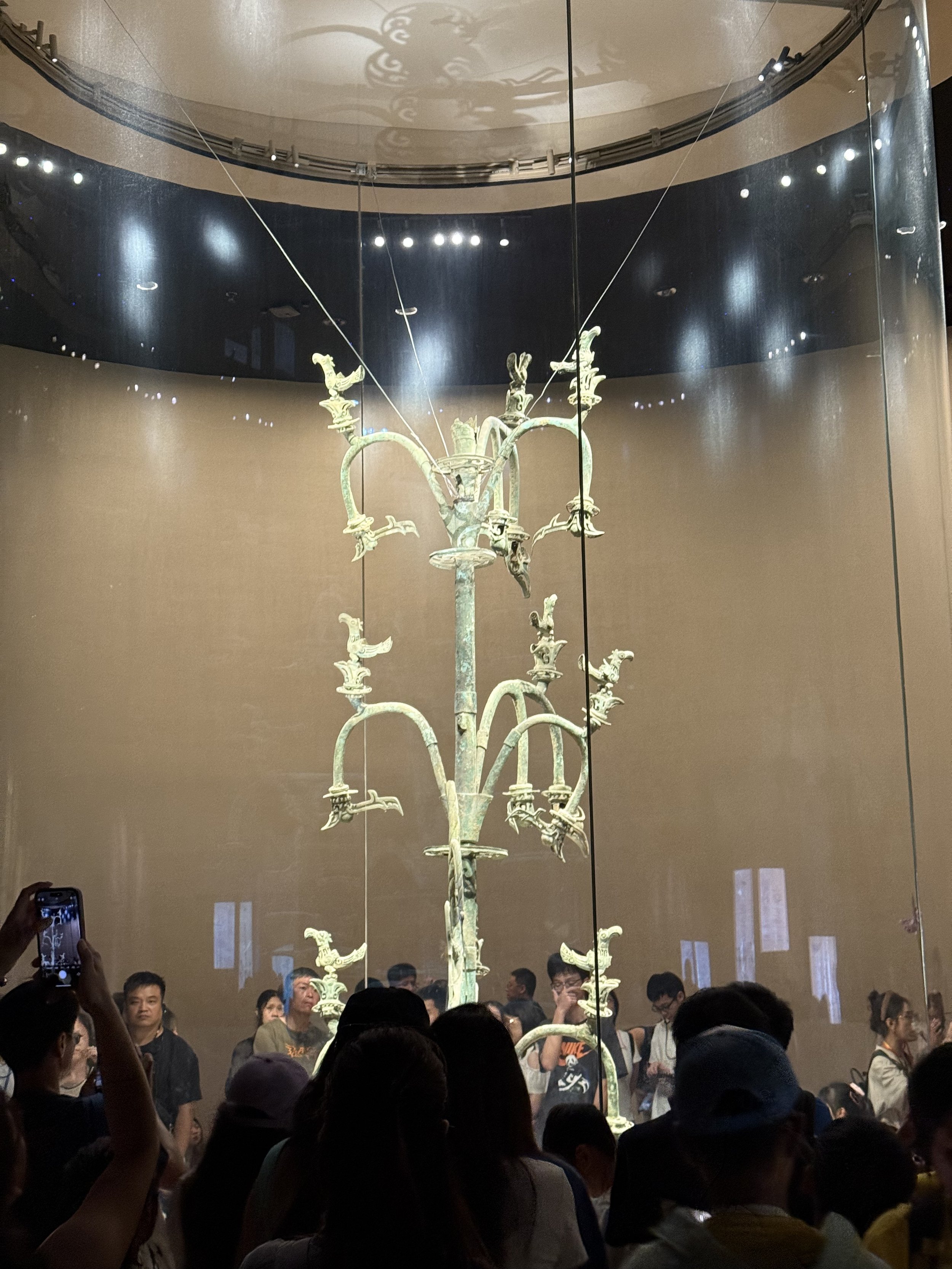 IMG_2860.jpg