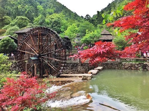 氧吧茶韻·賀州 超豪桂林·施柏閣 雙動4天