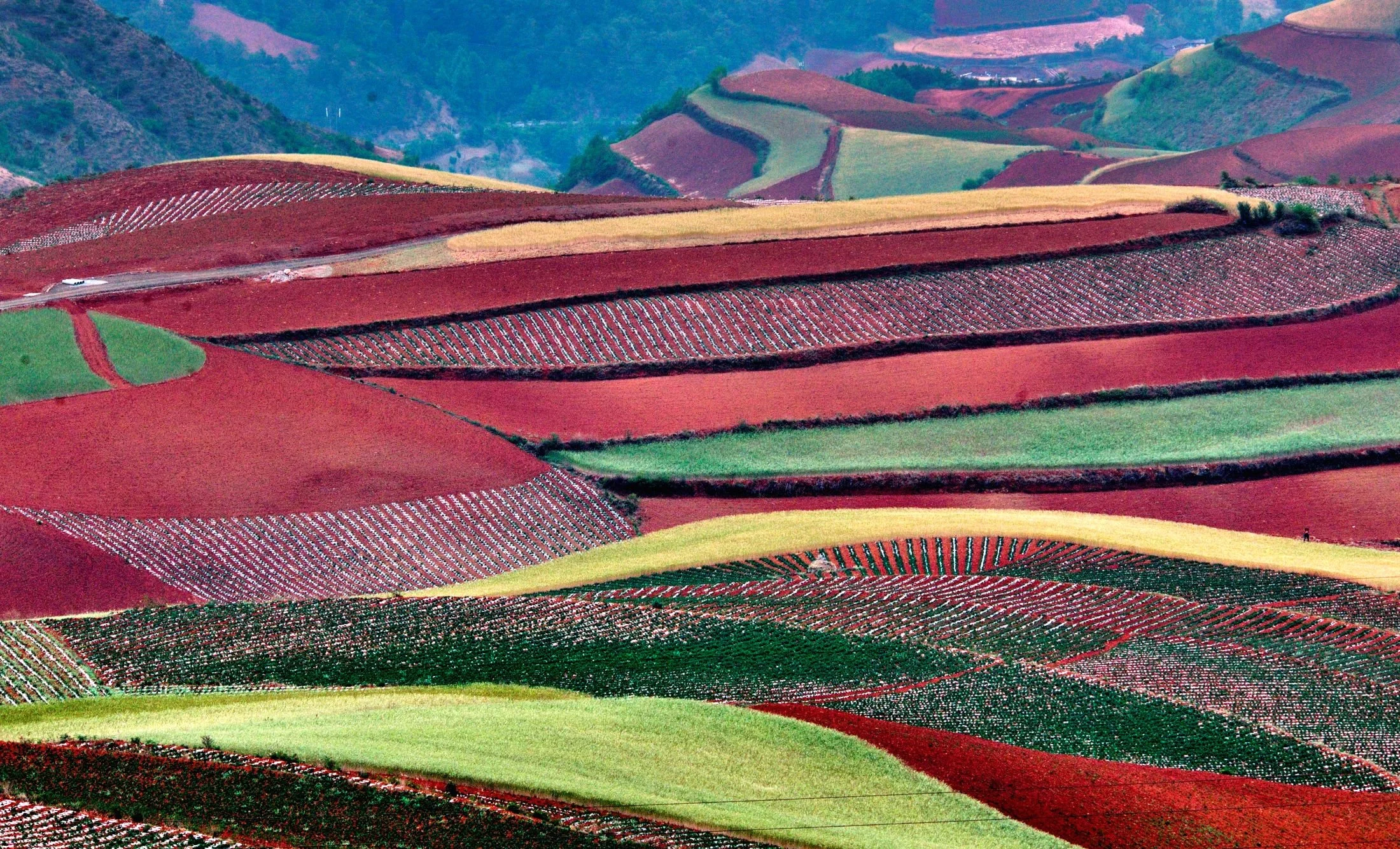 橫掃滇境 追尋大地藝術 雲南東川紅土地5天團