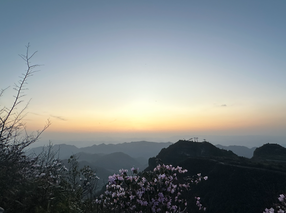 Screenshot 2026-04-20 162237_edited.png