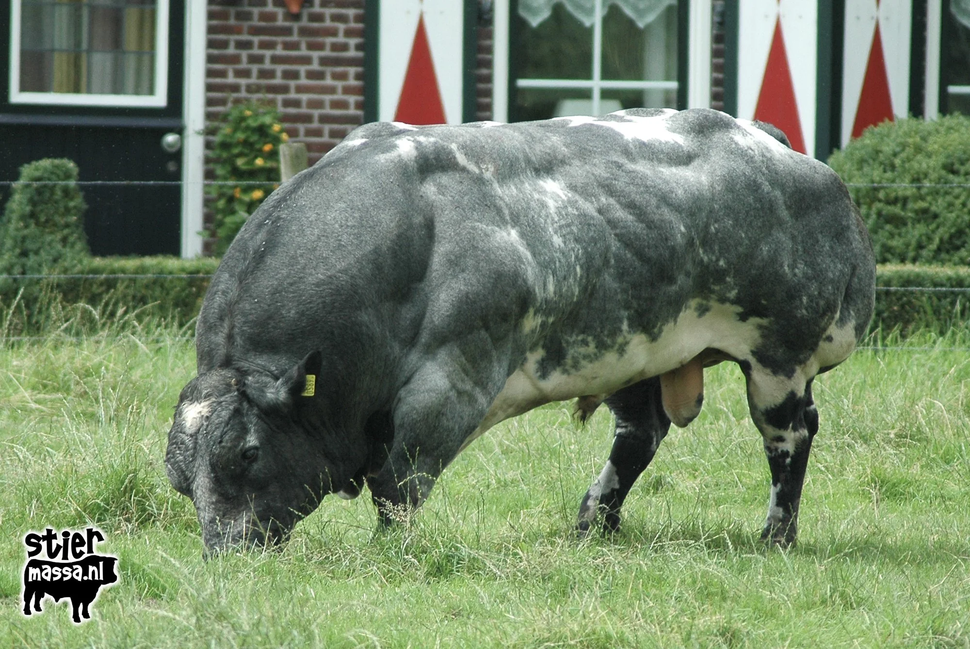 Heusden_02.jpg