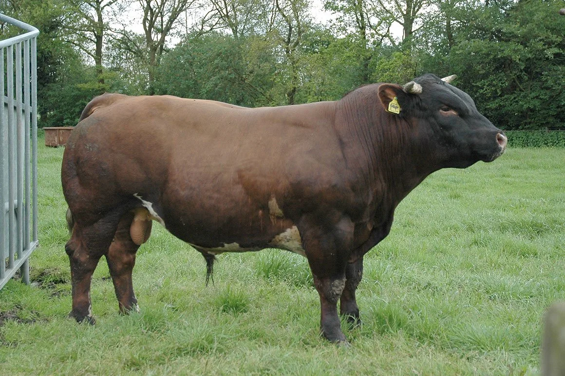 VRB-0016-04.jpg