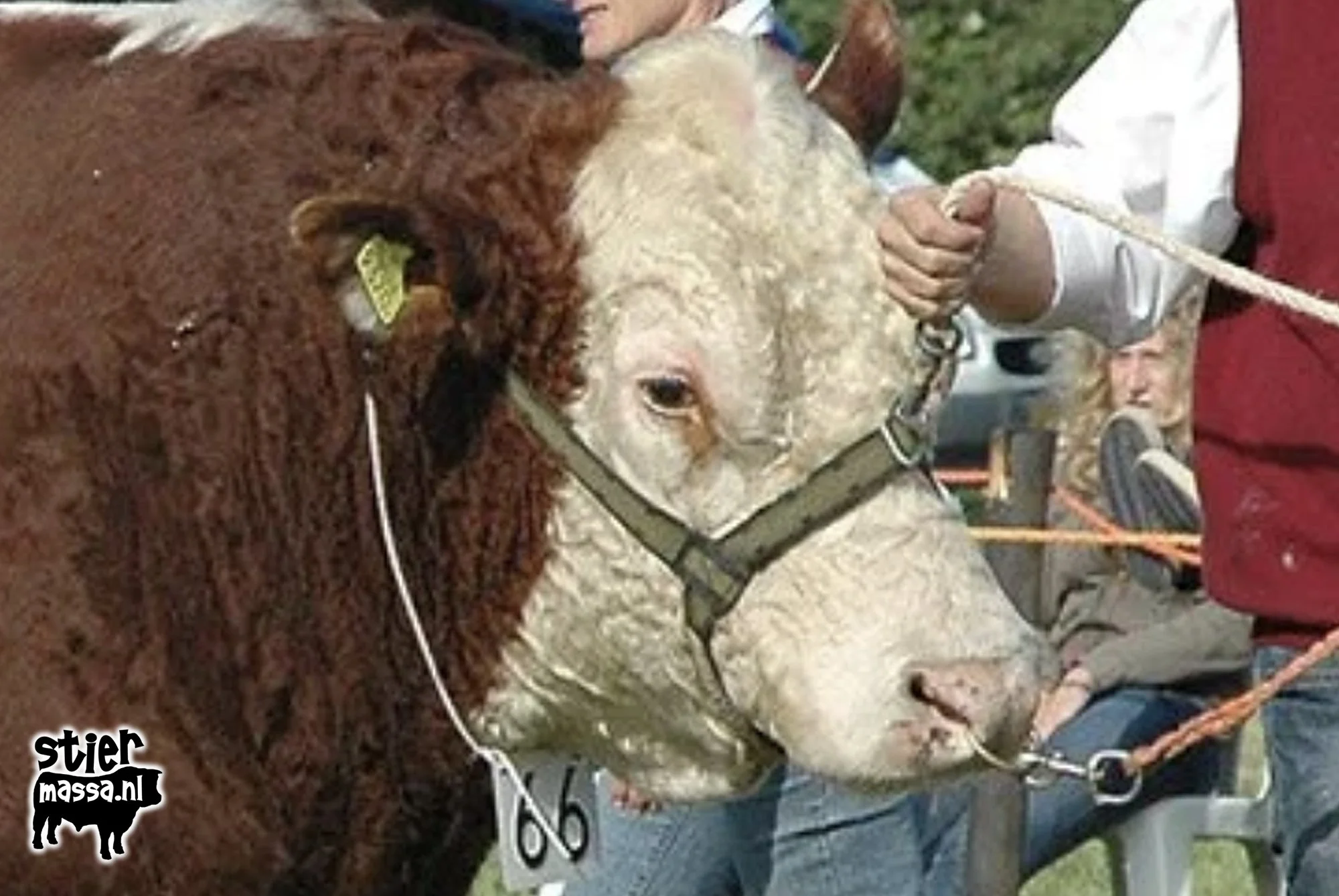 Hereford Rondavel Adam.jpg