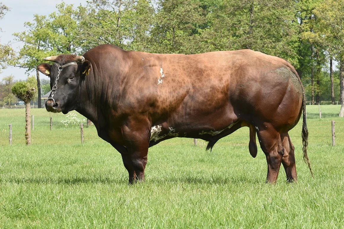 VRB-0008-03.jpg