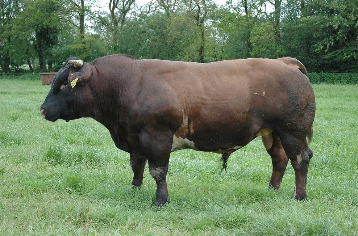 VRB-0016-02.jpg