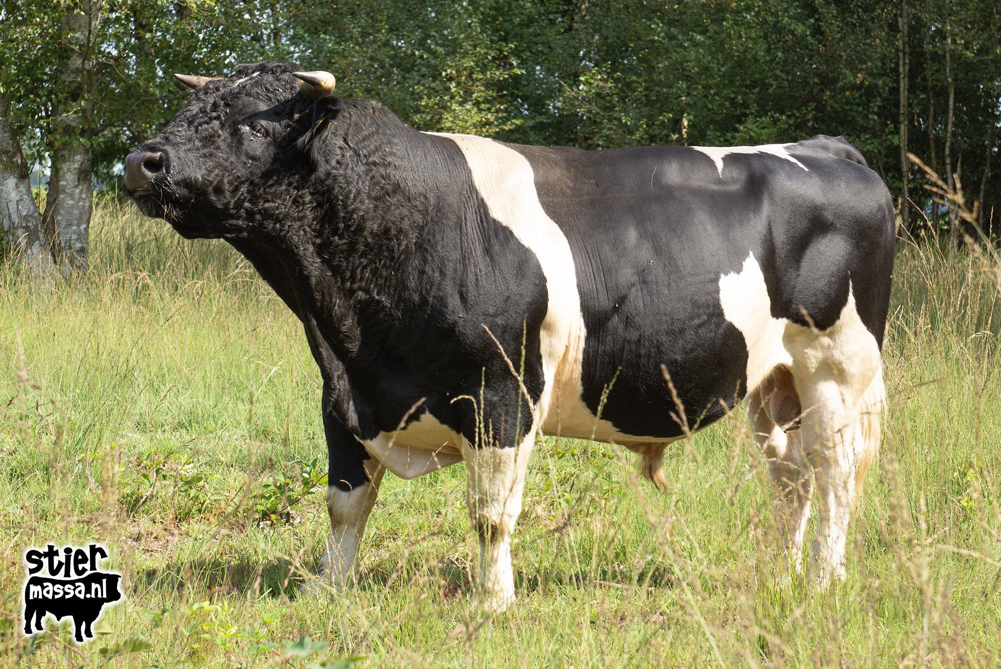 Arne-03.jpg