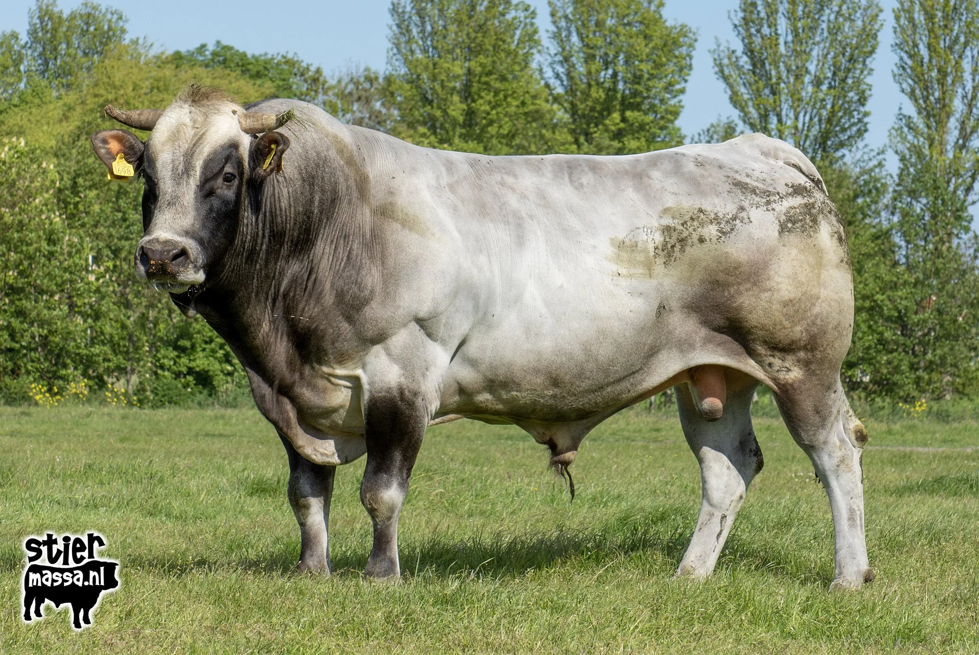 Meester-04.jpg