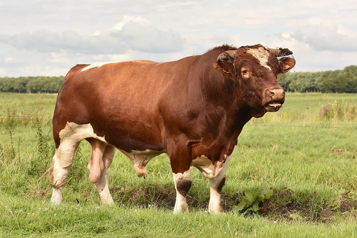 MAN-0013-05.jpg