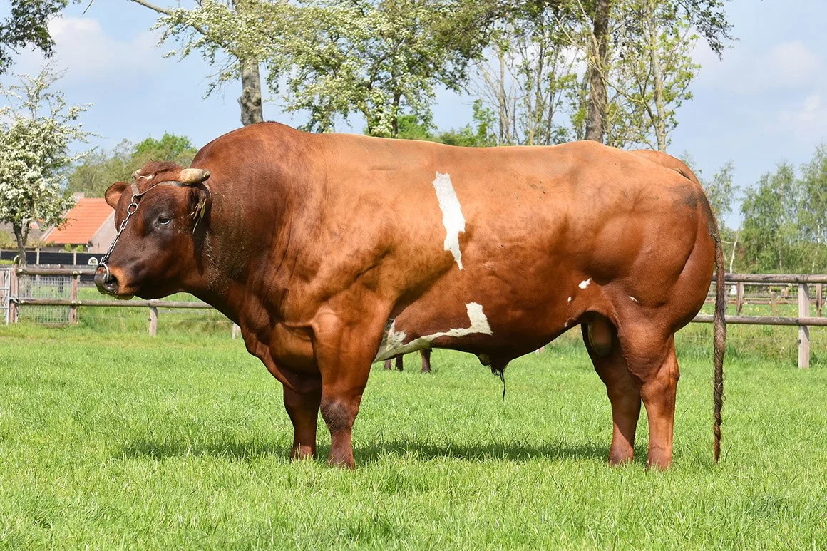 VRB-0013-03.jpg