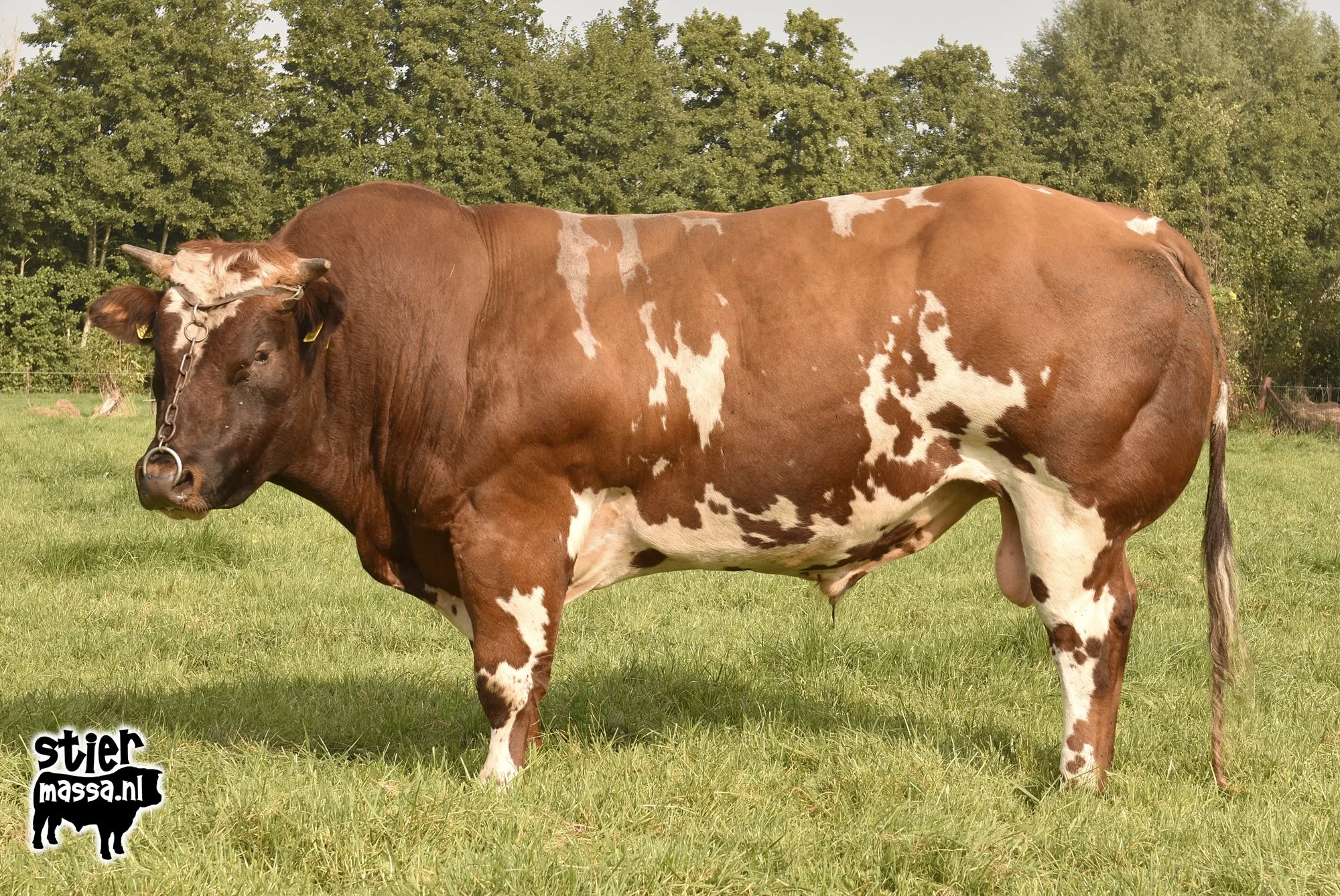 GR698-2.jpg