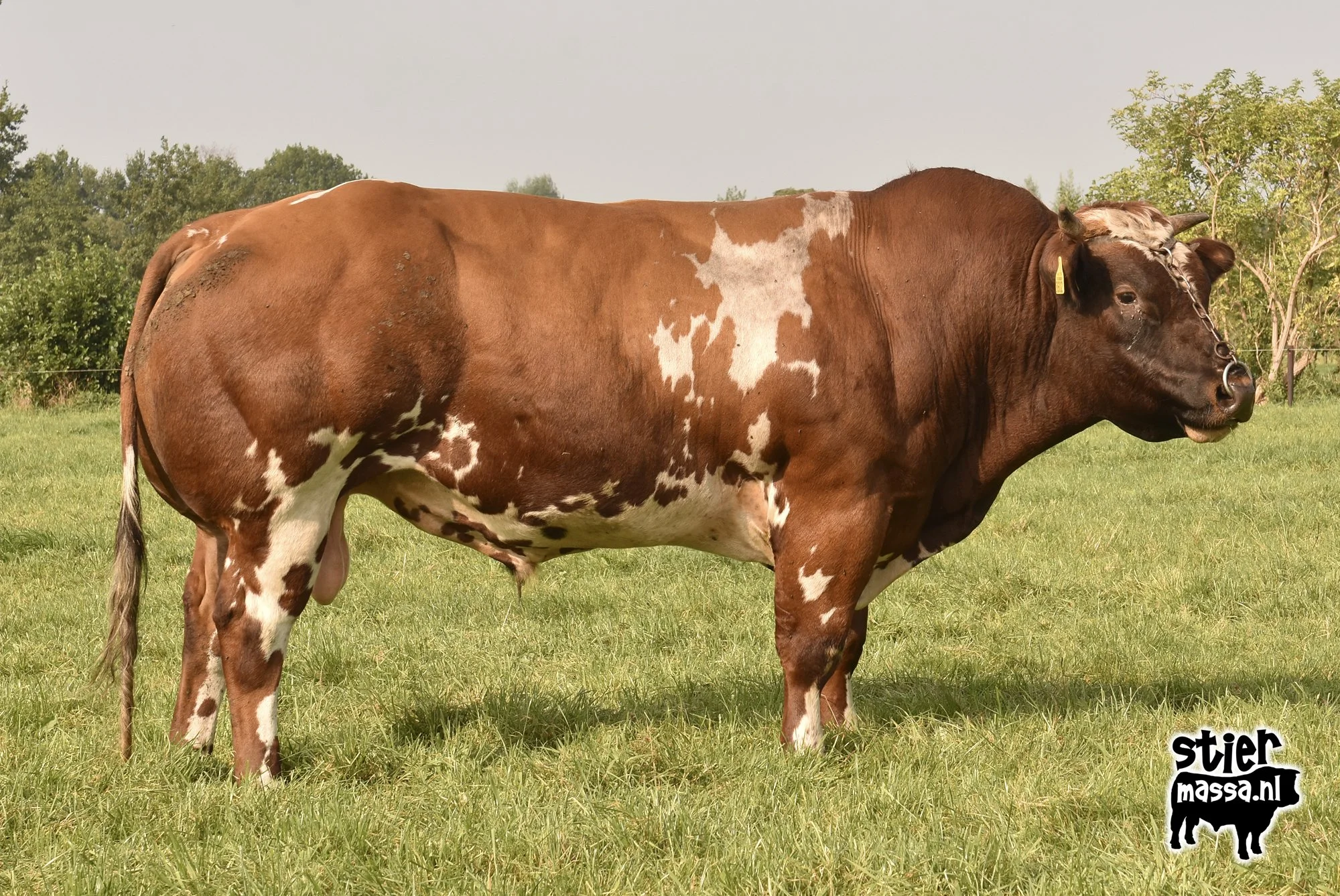 GR698-3.jpg