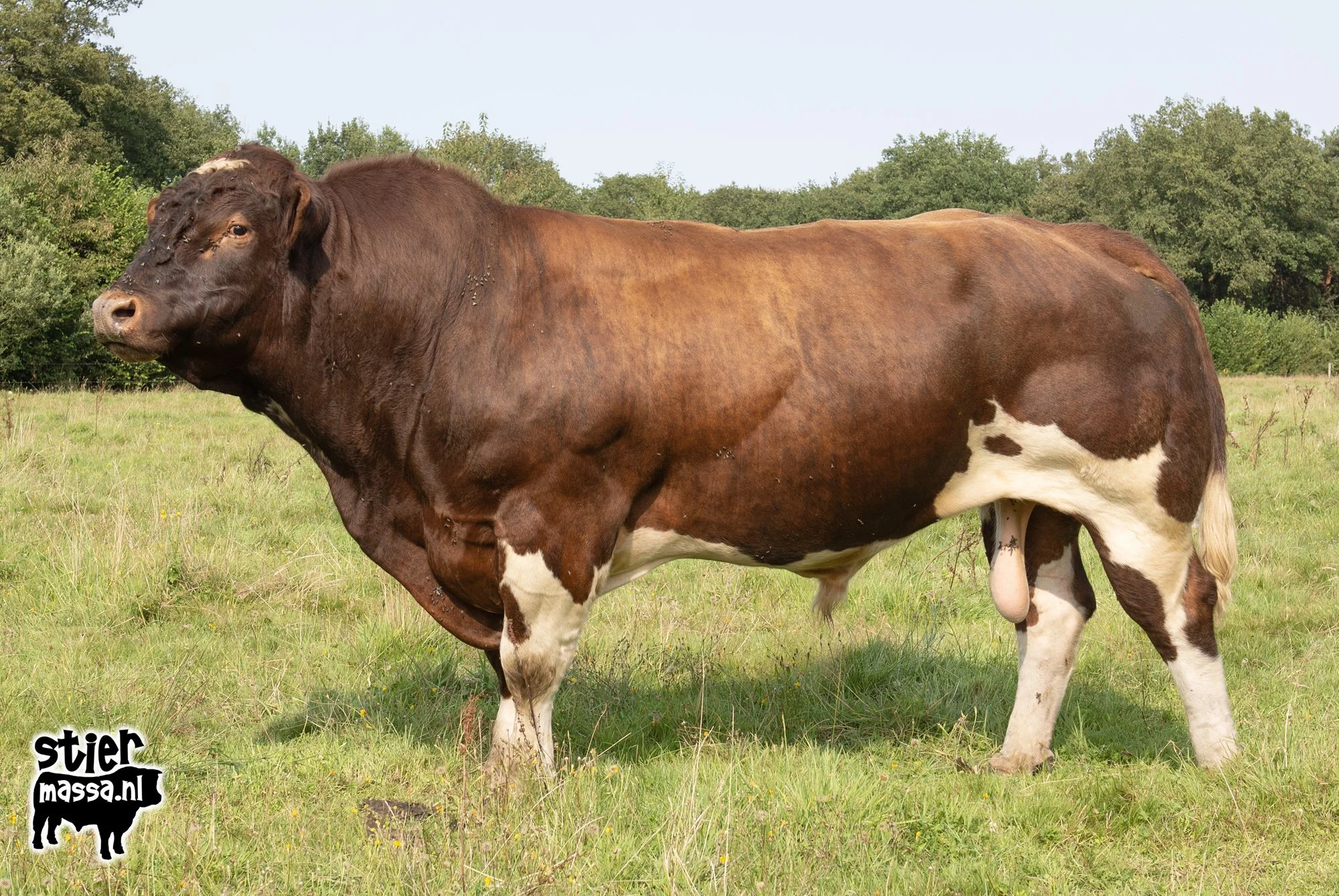 Gijs-02.jpg